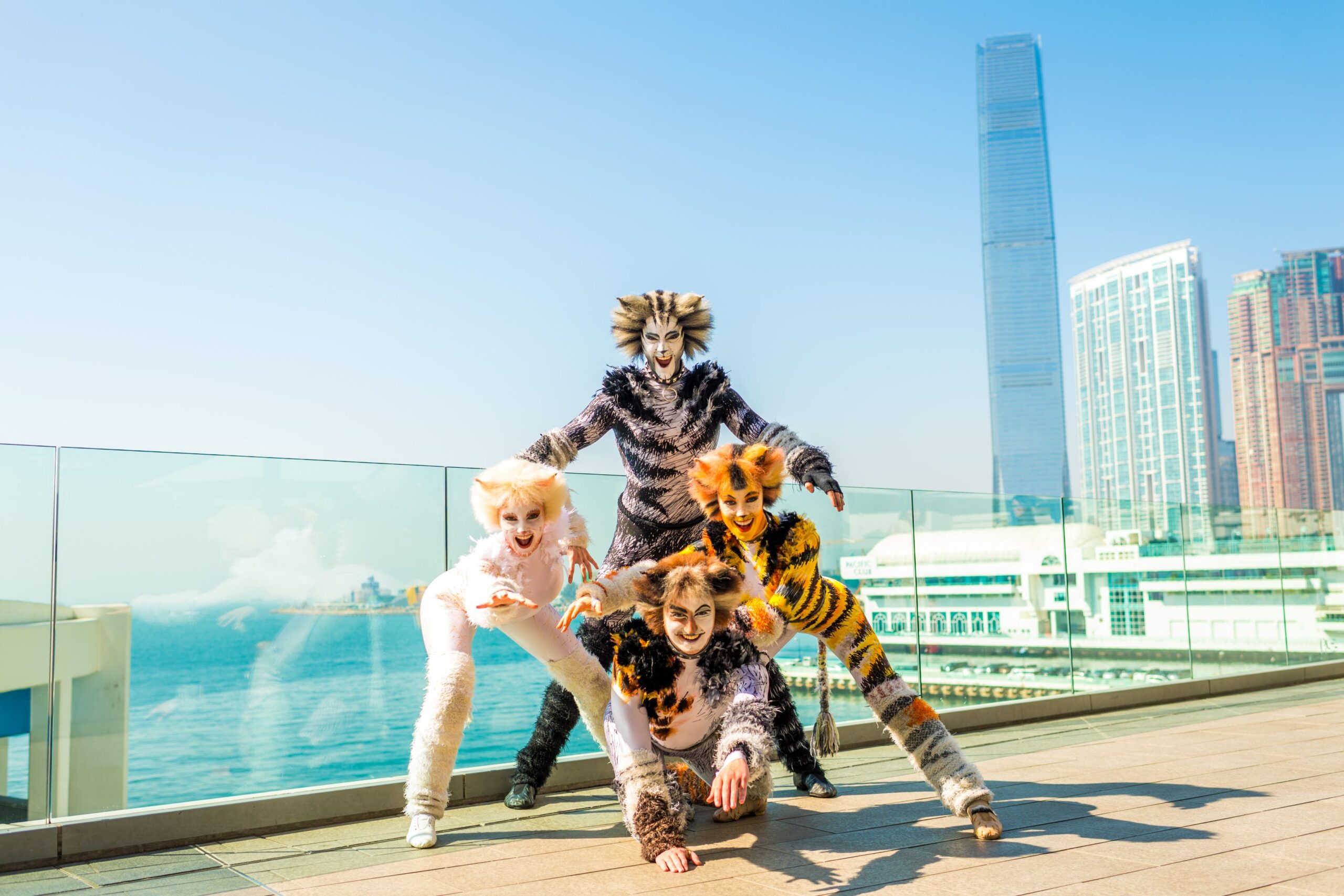 【香港演藝學院音樂劇】治癒小品《貓》 放鬆一下吧香港人